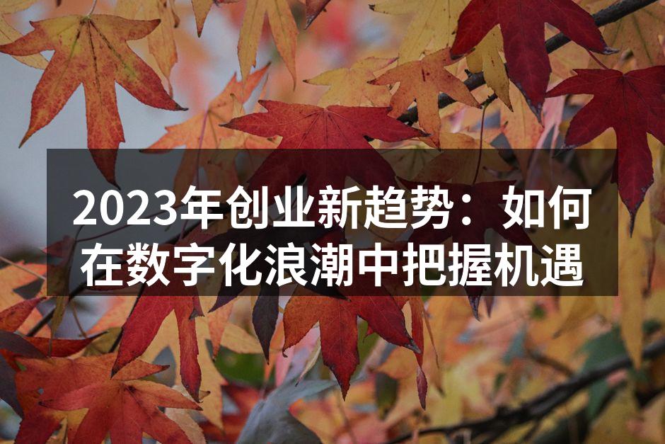 2023年创业新趋势：如何在数字化浪潮中把握机遇